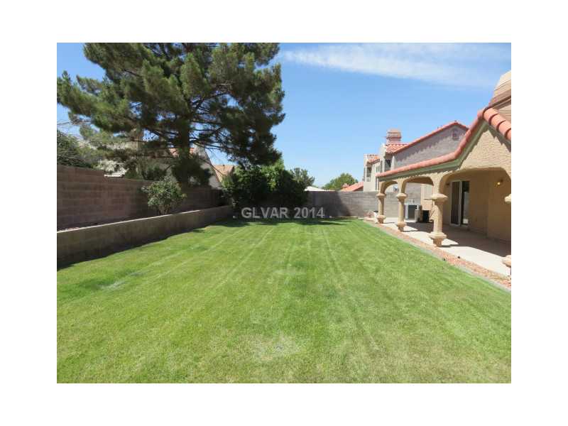 405 Donner Pass Drive Henderson, NV 89014 - Photo 3 of 19 Property Photo. BACKYARD