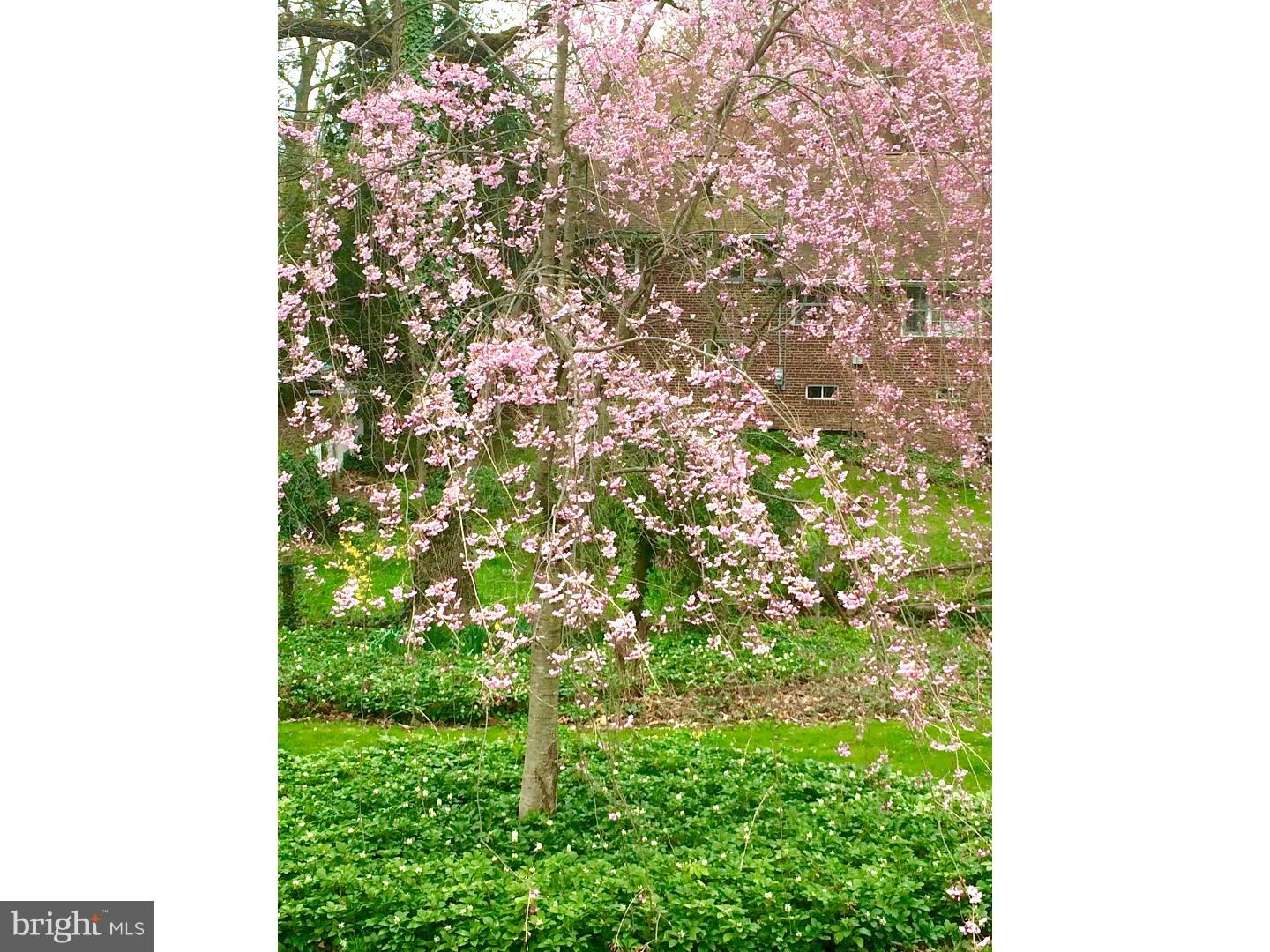 112 Yale Square Swarthmore, PA 19081 - Photo 20 of 21 Gallery Image 20