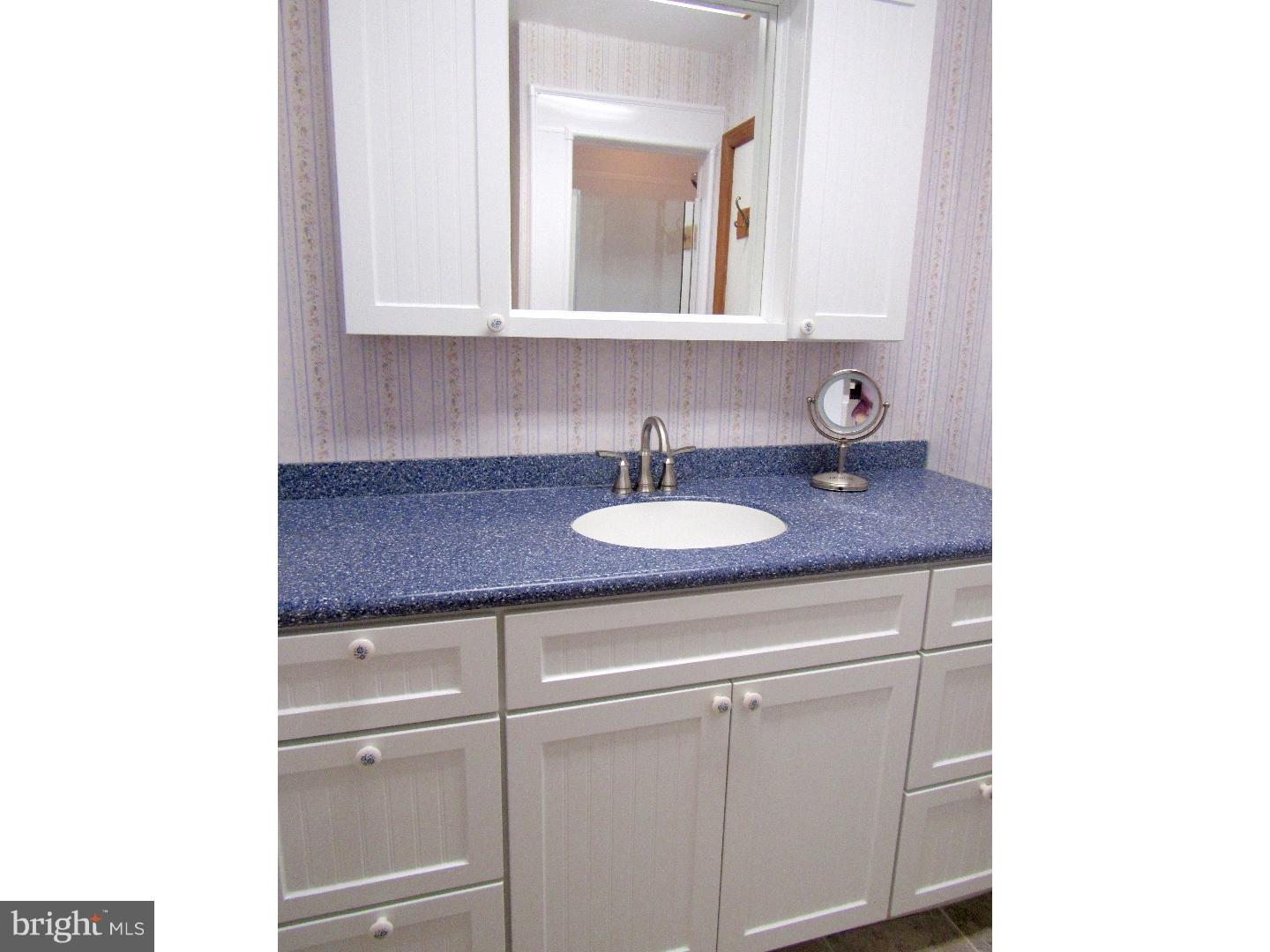 112 Yale Square Swarthmore, PA 19081 - Photo 10 of 21 Bathroom