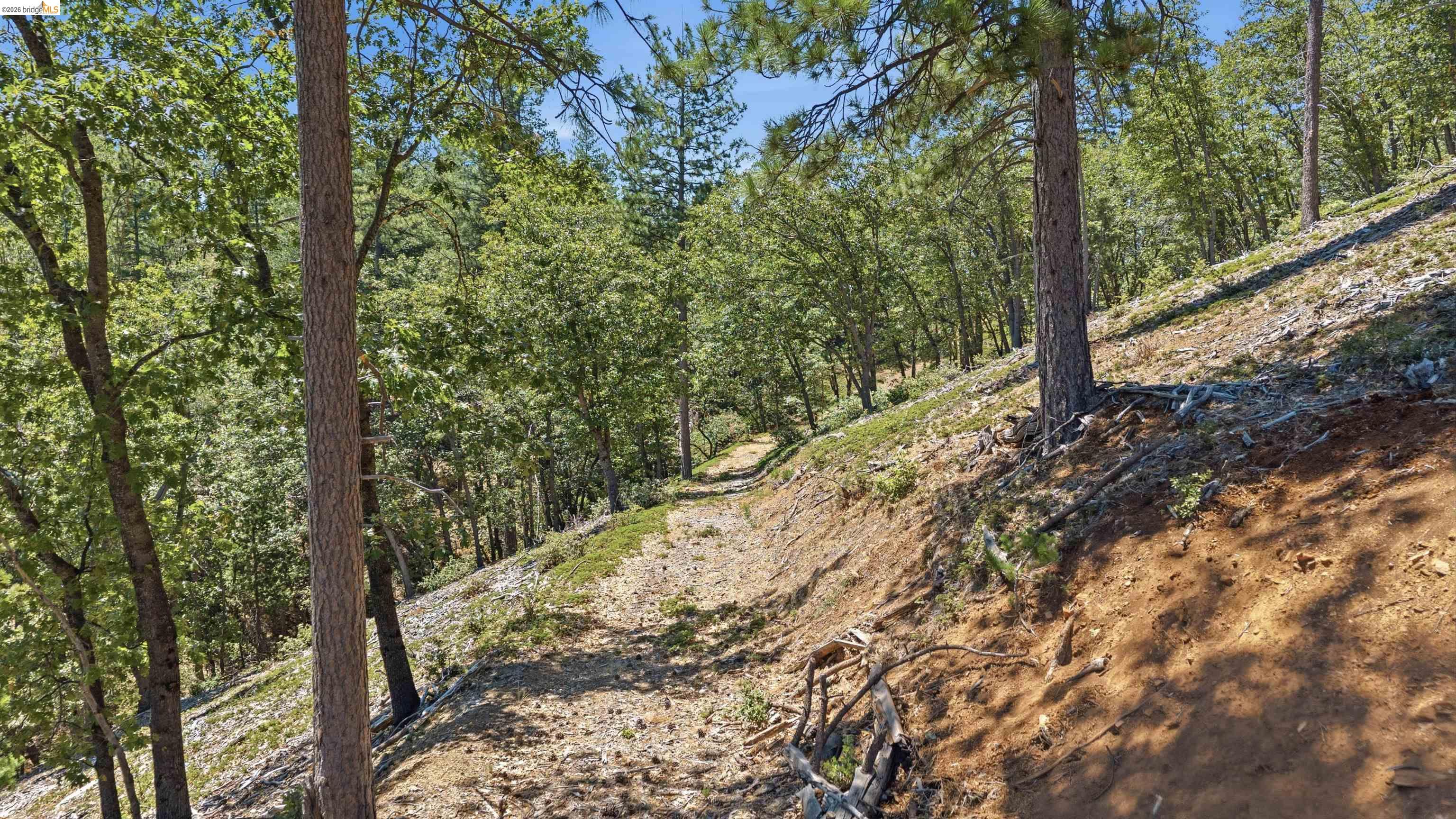 0 Old Oak Ranch Road Sonora, CA 95370 - Photo 11 of 19
