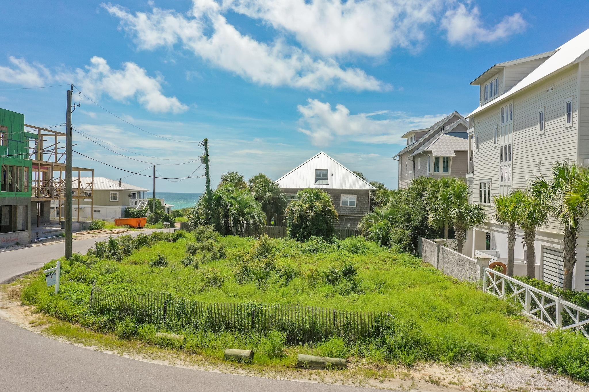 155 Winston Ln Inlet Beach Inlet Beach, FL 32461 - Photo 4 of 21 a view of a garden in front of a house