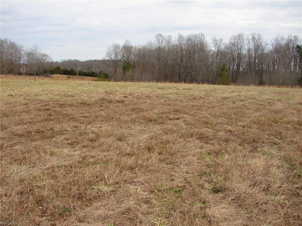2988 Hall Road Franklinville, NC 27248 - Photo 25 of 28 Gallery Image 25