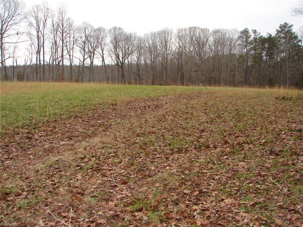 2988 Hall Road Franklinville, NC 27248 - Photo 28 of 28 Gallery Image 28