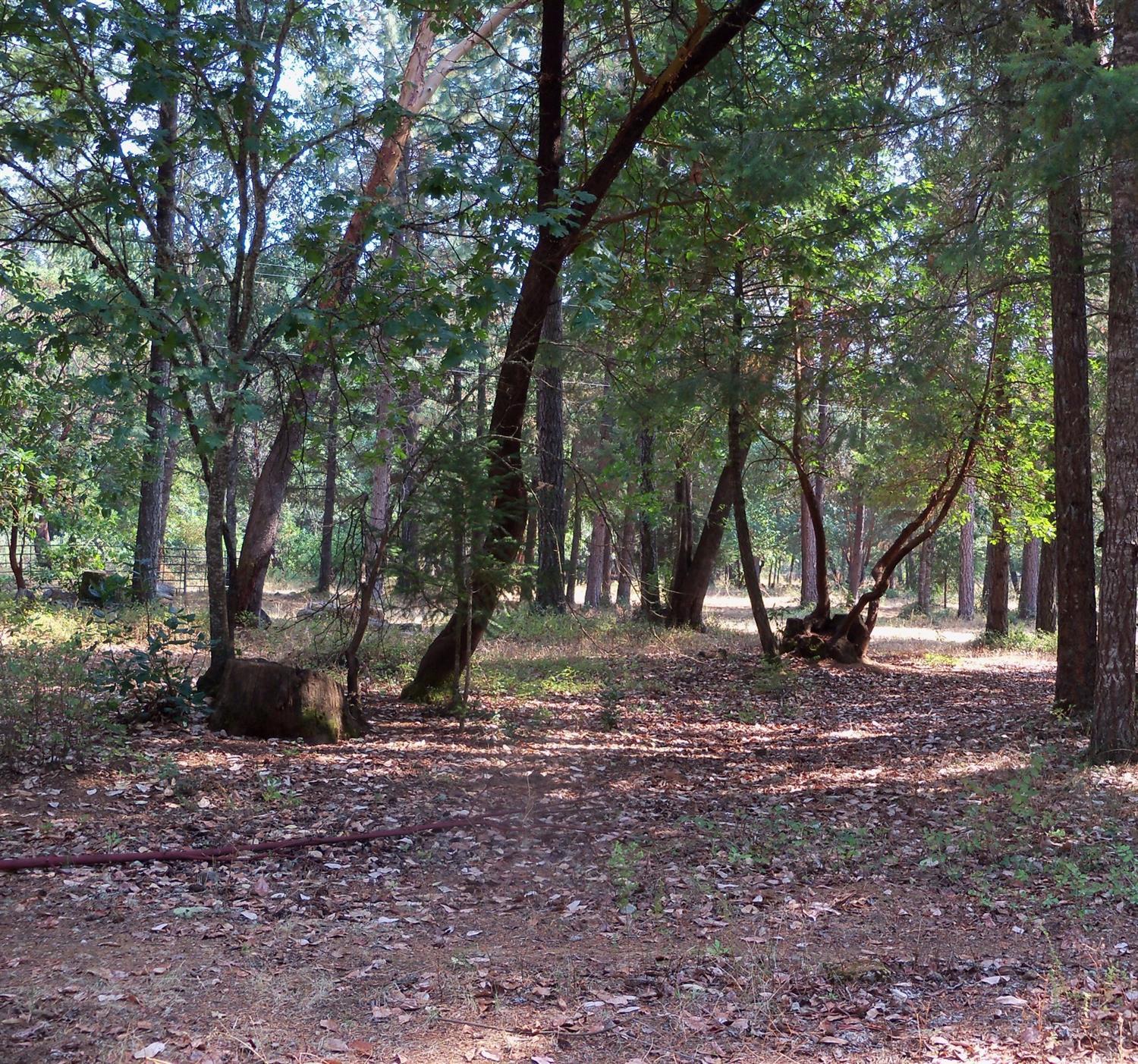 3615 Dick George Road Cave Junction, OR 97523 - Photo 23 of 24 Additional Photo