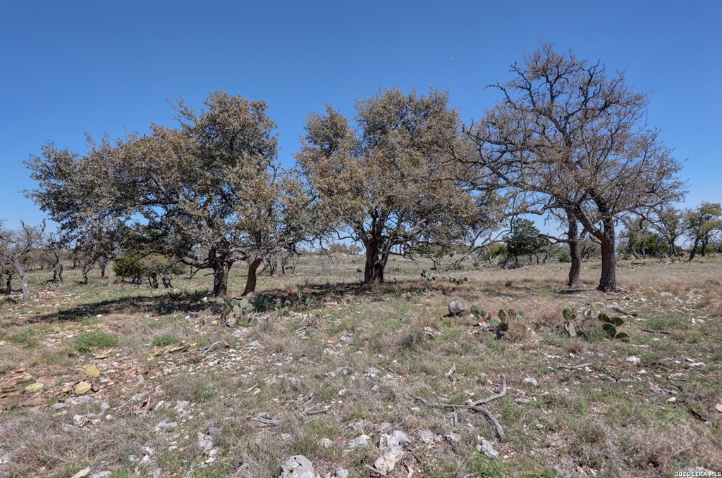 1443 Gina Road Harper, TX 78631 - Photo 11 of 38