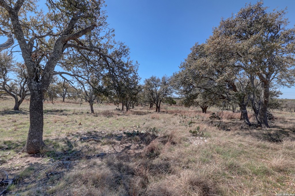 1443 Gina Road Harper, TX 78631 - Photo 12 of 38