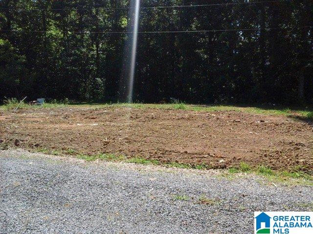 341 Happy Knoll Road Ashville, AL 35953 - Photo 33 of 47