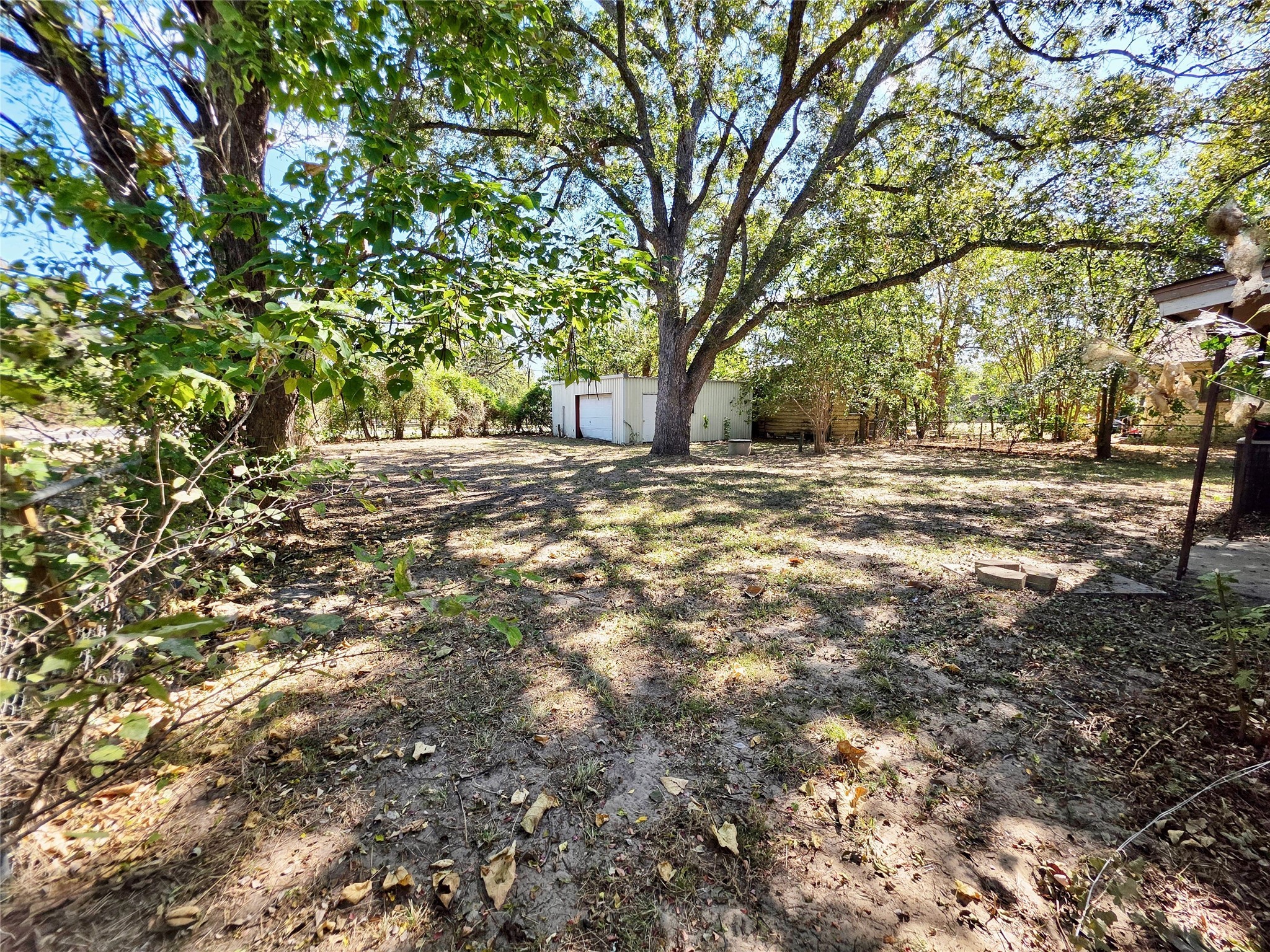 111 South Harvey House Road Somerville, TX 77879 - Photo 17 of 22 a view of a yard with a tree