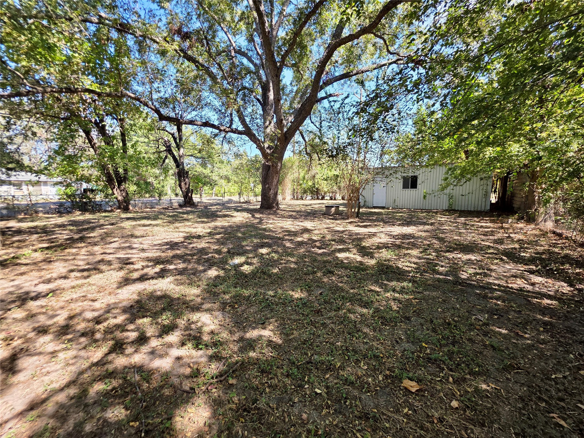 111 South Harvey House Road Somerville, TX 77879 - Photo 18 of 22 a view of a yard with a tree