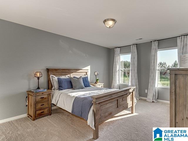 200 Polo Field Way Chelsea, AL 35043 - Photo 19 of 30