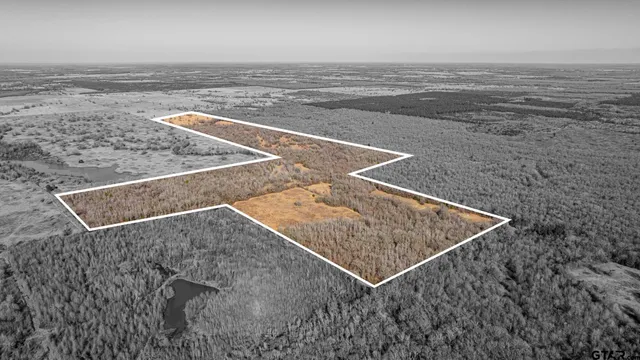 a view of yard covered with snow in front of house