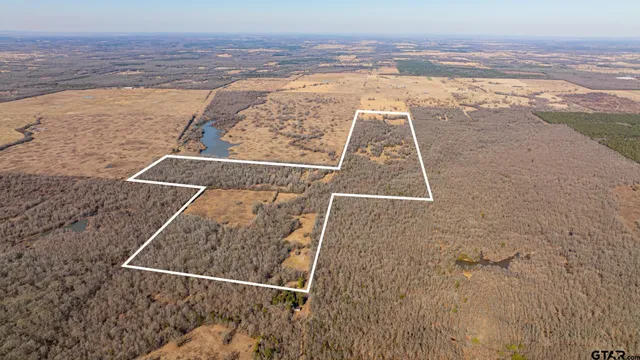 wooden view of beach and ocean