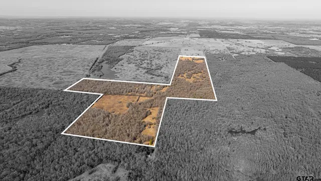 a view of an ocean beach