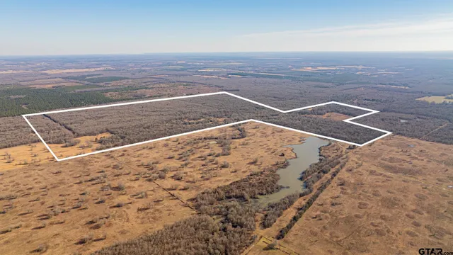 a view of a dry yard