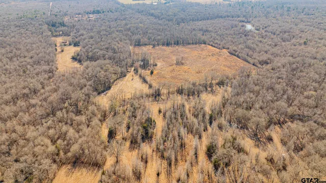 a view of bath room and trees