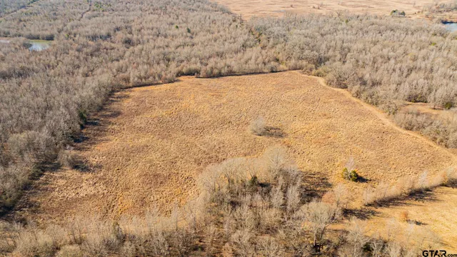 a view of snow covered with snow