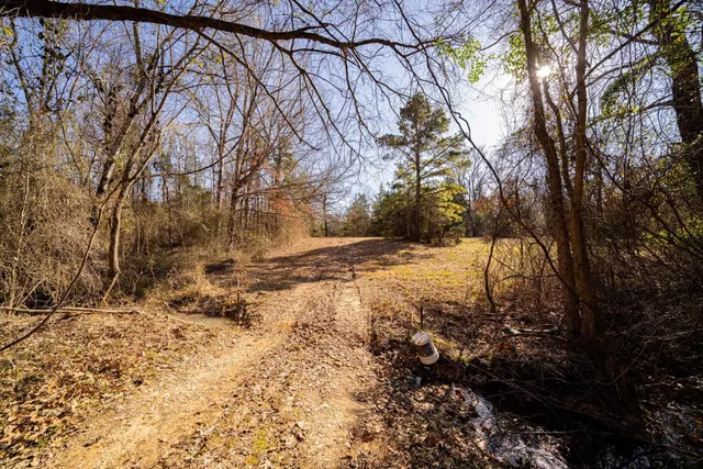a view of backyard with wooden fence