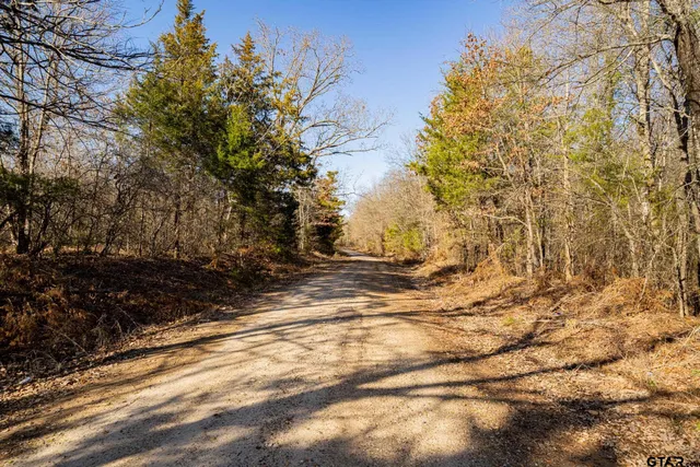 a view of a backyard of the house