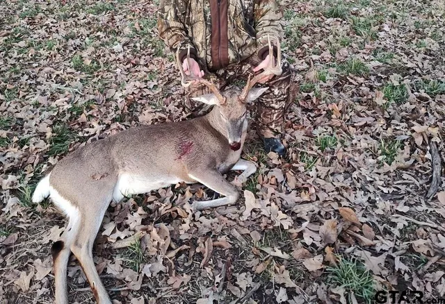 $608,000 | 4650 Dekalb Tx 75559, De Kalb, TX 75559