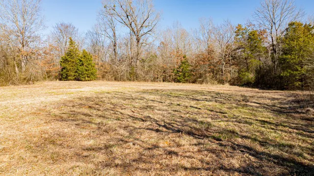 a view of empty yard with trees