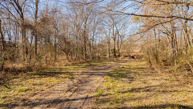 a view of outdoor space with trees