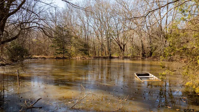 a view of an ocean beach