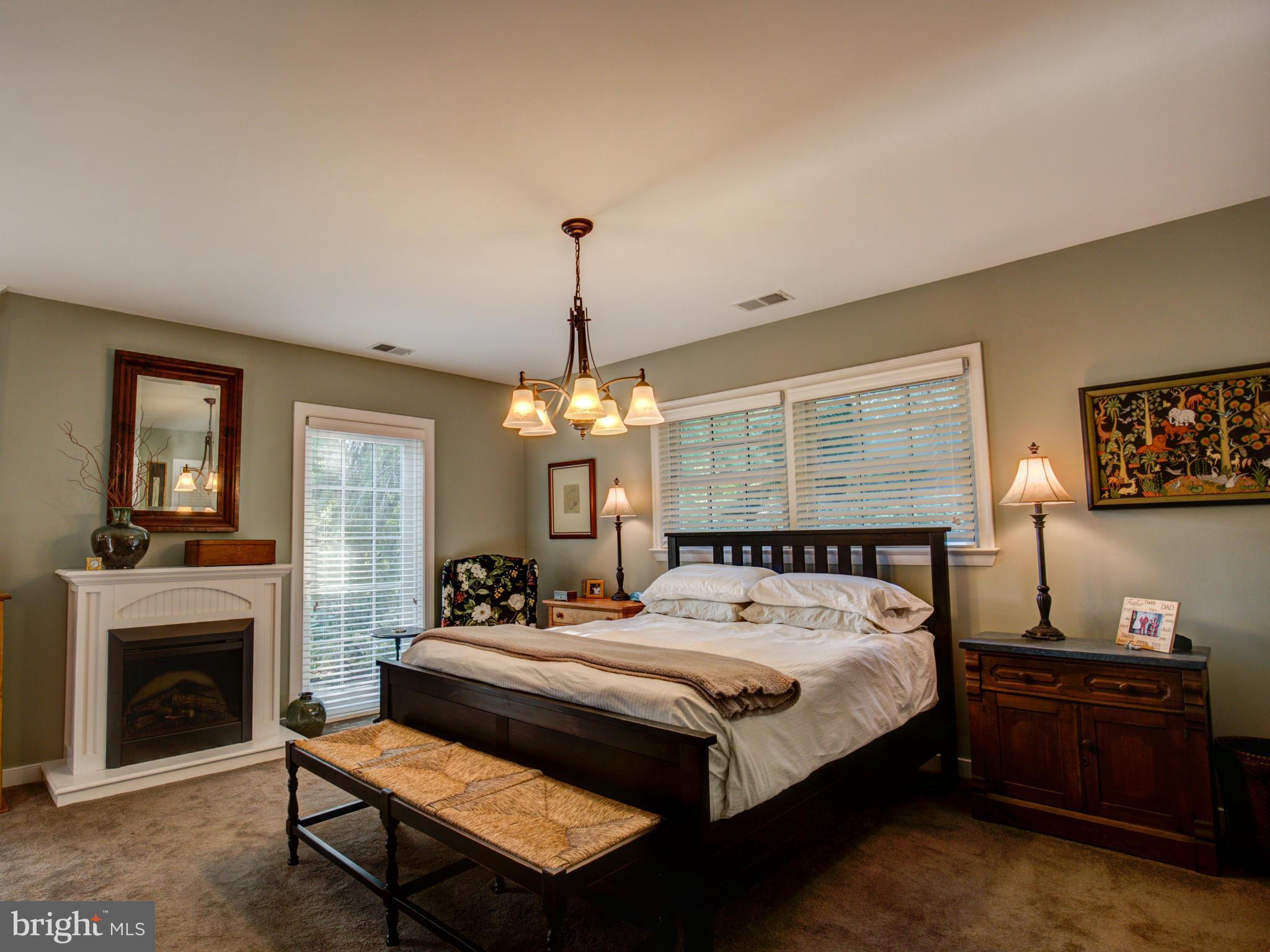111 Roszel Road Winchester, VA 22601 - Photo 14 of 29 Lovely master bedroom w/ gas fireplace