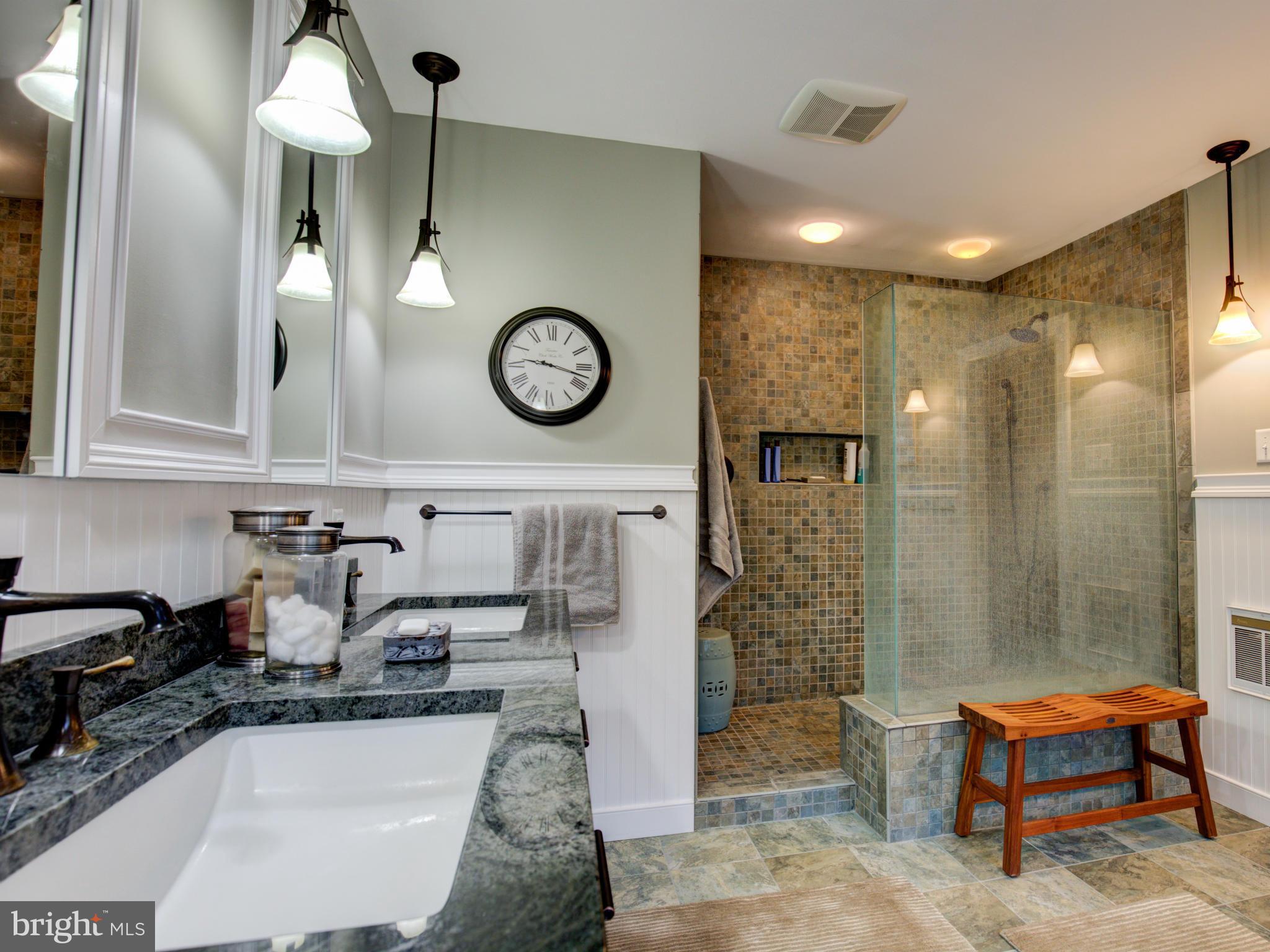 111 Roszel Road Winchester, VA 22601 - Photo 17 of 29 Separate shower in master bath