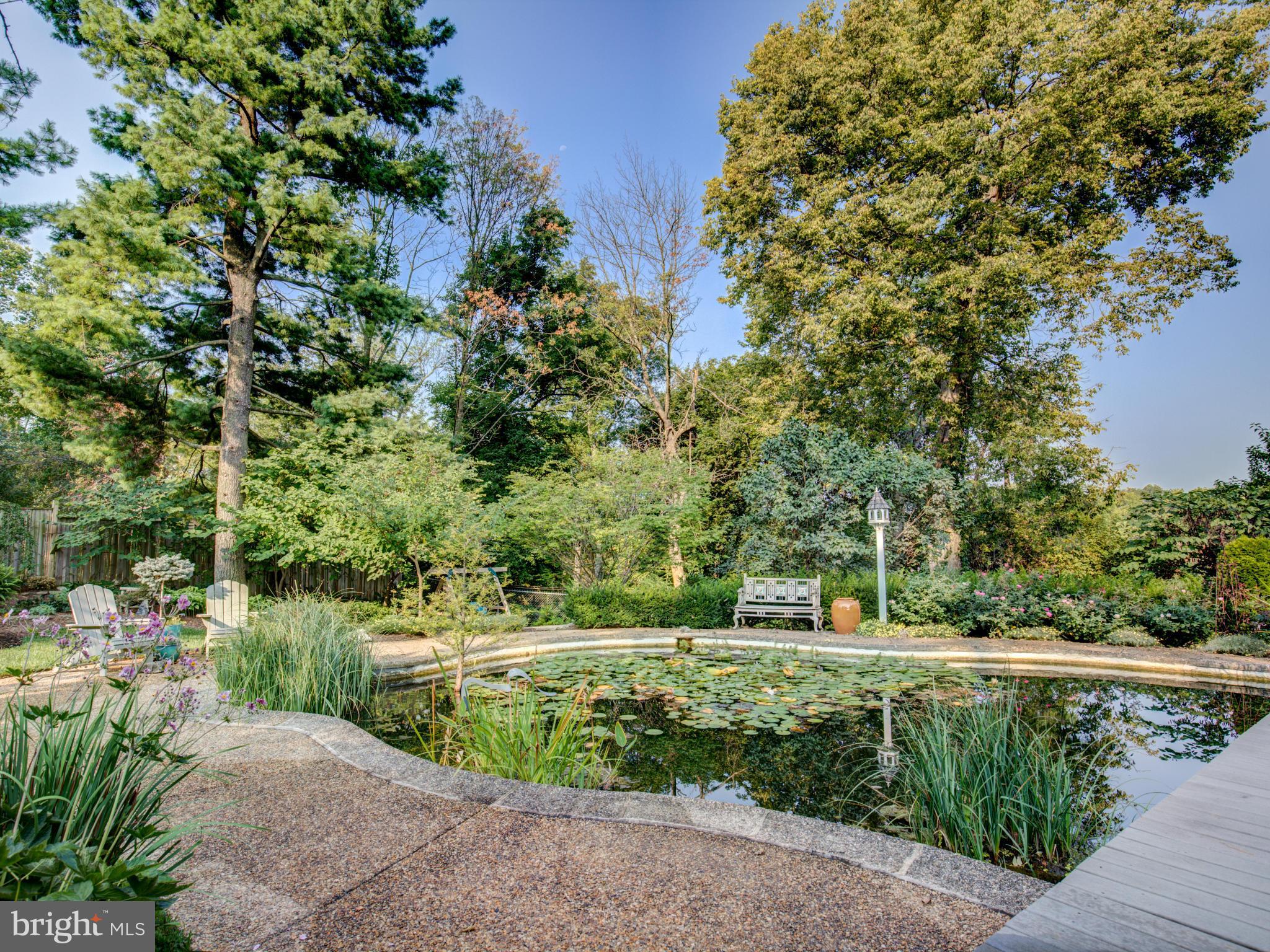111 Roszel Road Winchester, VA 22601 - Photo 25 of 29 Pond -can be converted back to pool