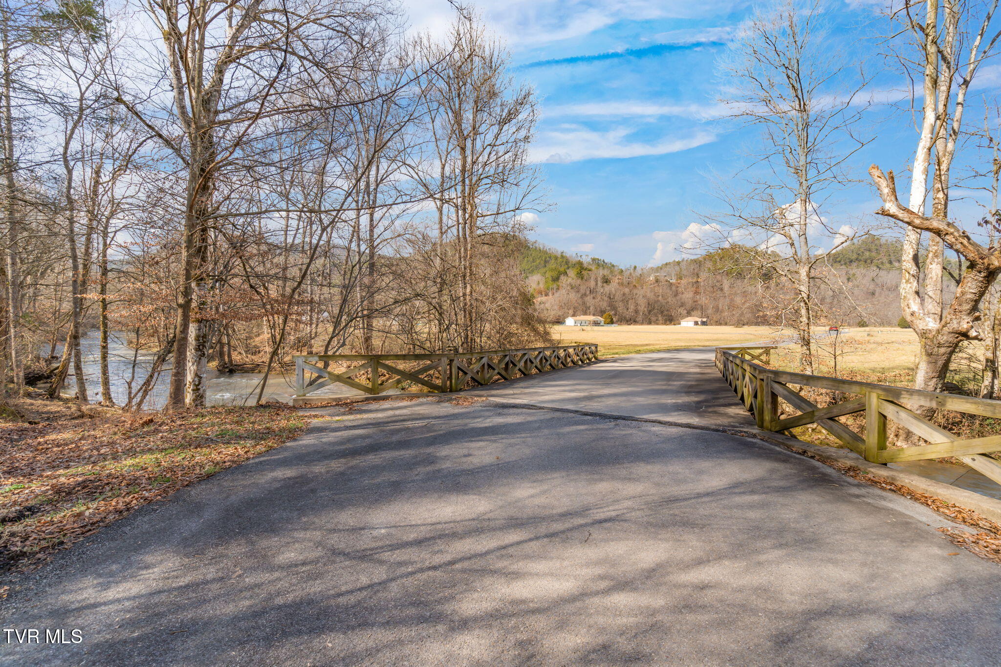 404 Kaylee Loop Road Del Rio, TN 37727 - Photo 6 of 44 2-web-or-mls-404 Kaylee Loop