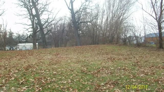 a view of a yard with trees