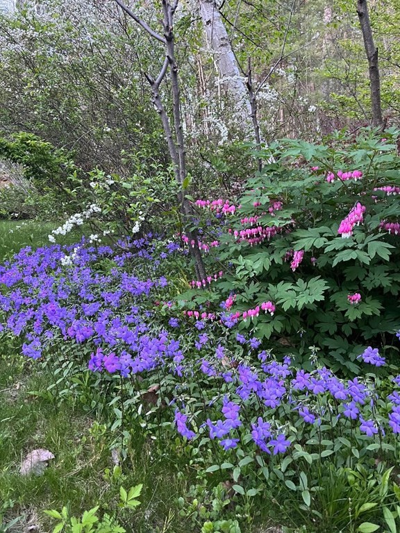 1 Blanchard Road Harvard, MA 01451 - Photo 32 of 40