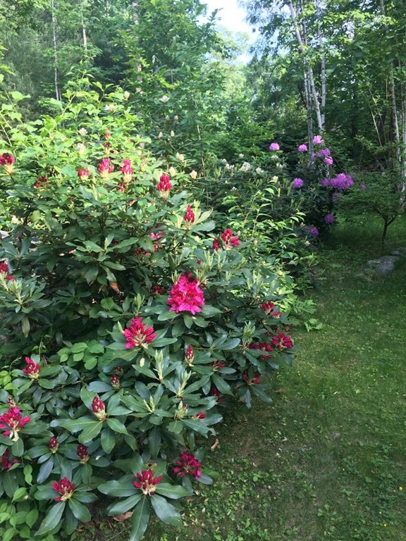 1 Blanchard Road Harvard, MA 01451 - Photo 33 of 40