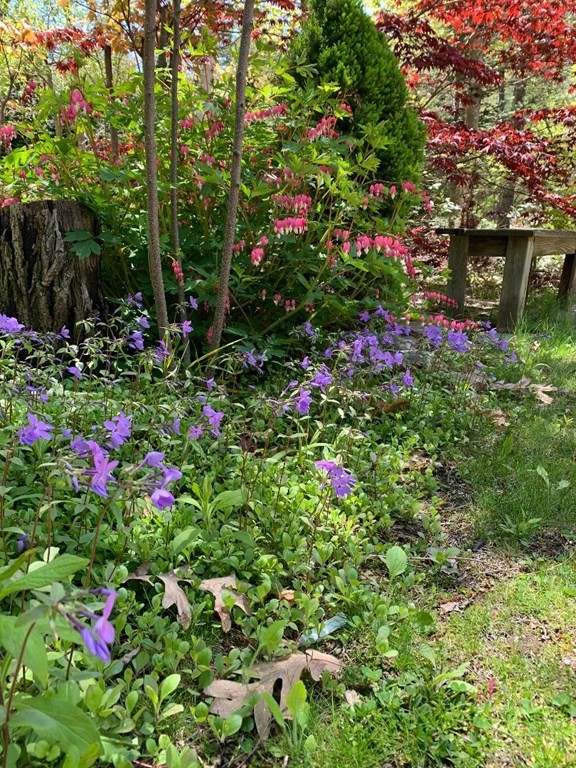 1 Blanchard Road Harvard, MA 01451 - Photo 35 of 40