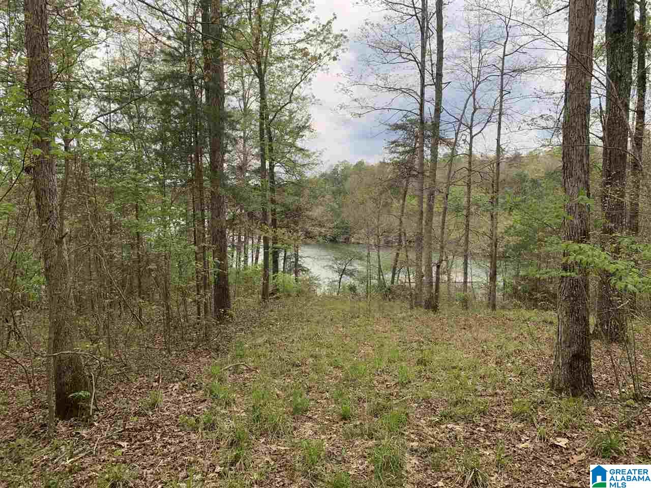 0 Sipsey Pines Road, Unit 133 Arley, AL 35541 - Photo 3 of 8