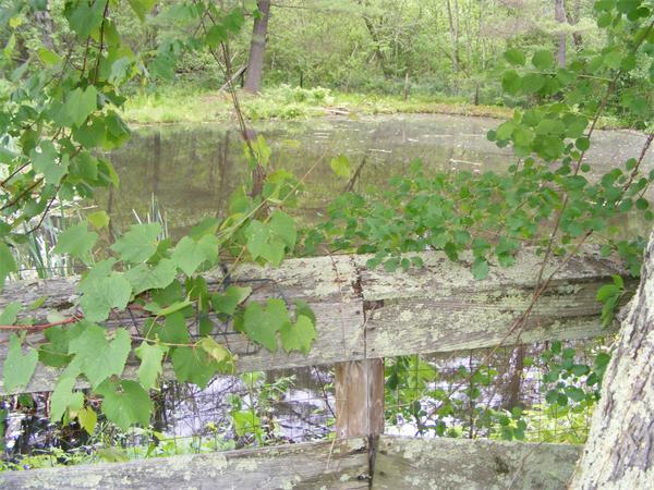 84 North Farms Road Northampton, MA 01062 - Photo 10 of 10 a view of lake with a yard
