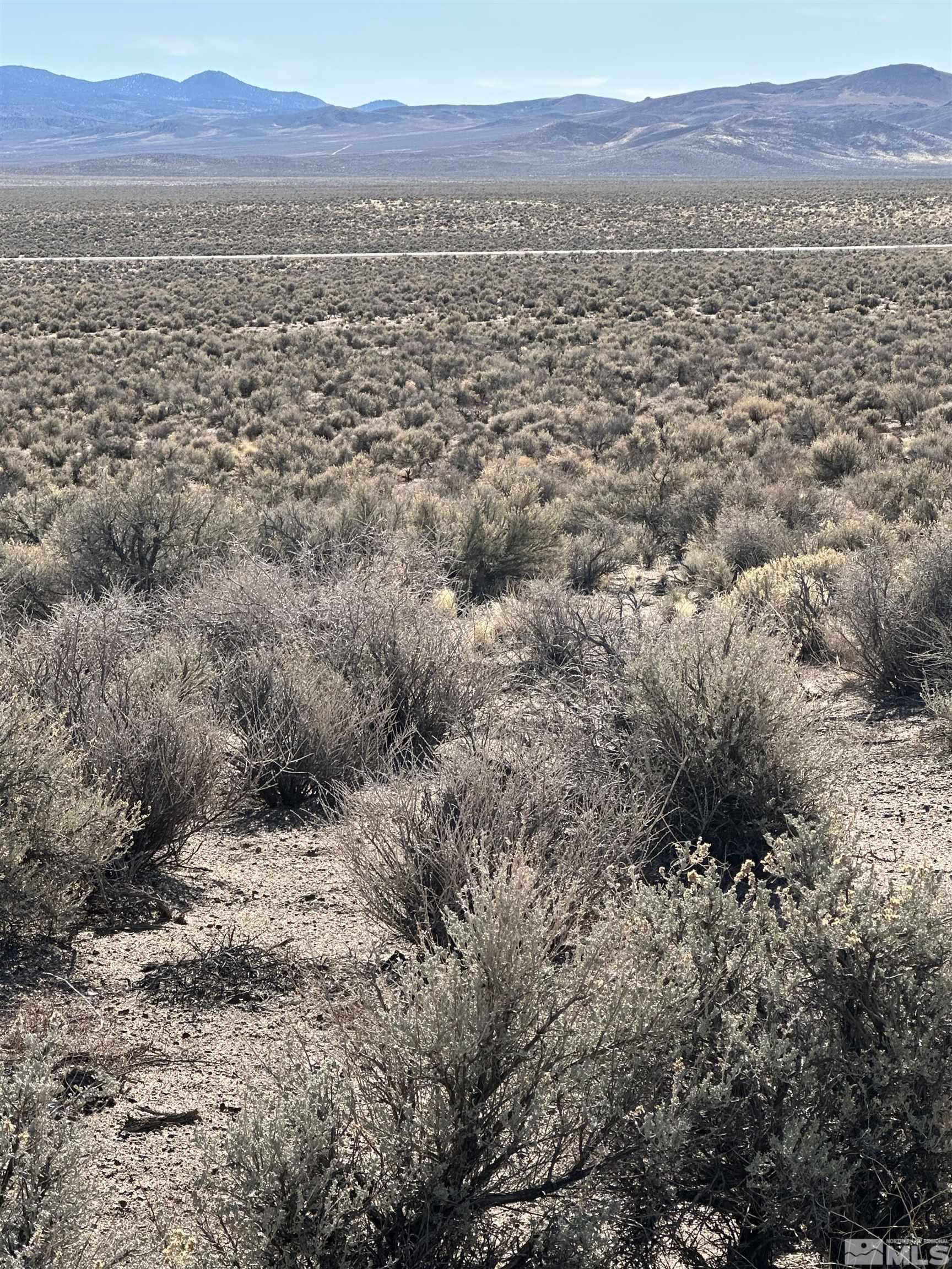 355 Ludwig Smith, NV 89430 - Photo 1 of 1 Photo 1