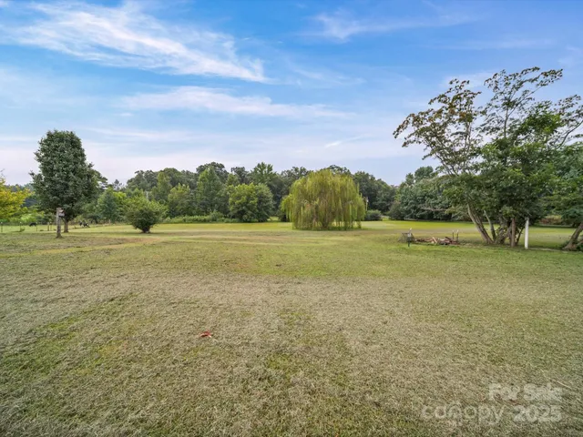a view of a field with trees in background