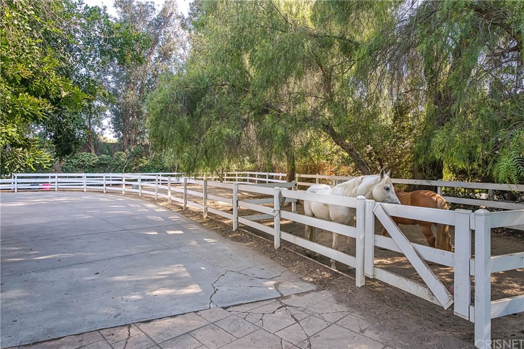 23744 Oakfield Road Hidden Hills, CA 91302 - Photo 36 of 41