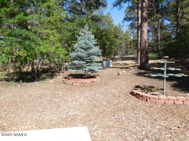 5520 Lindsey Road Flagstaff, AZ 86004 - Photo 8 of 27 DSCN0932