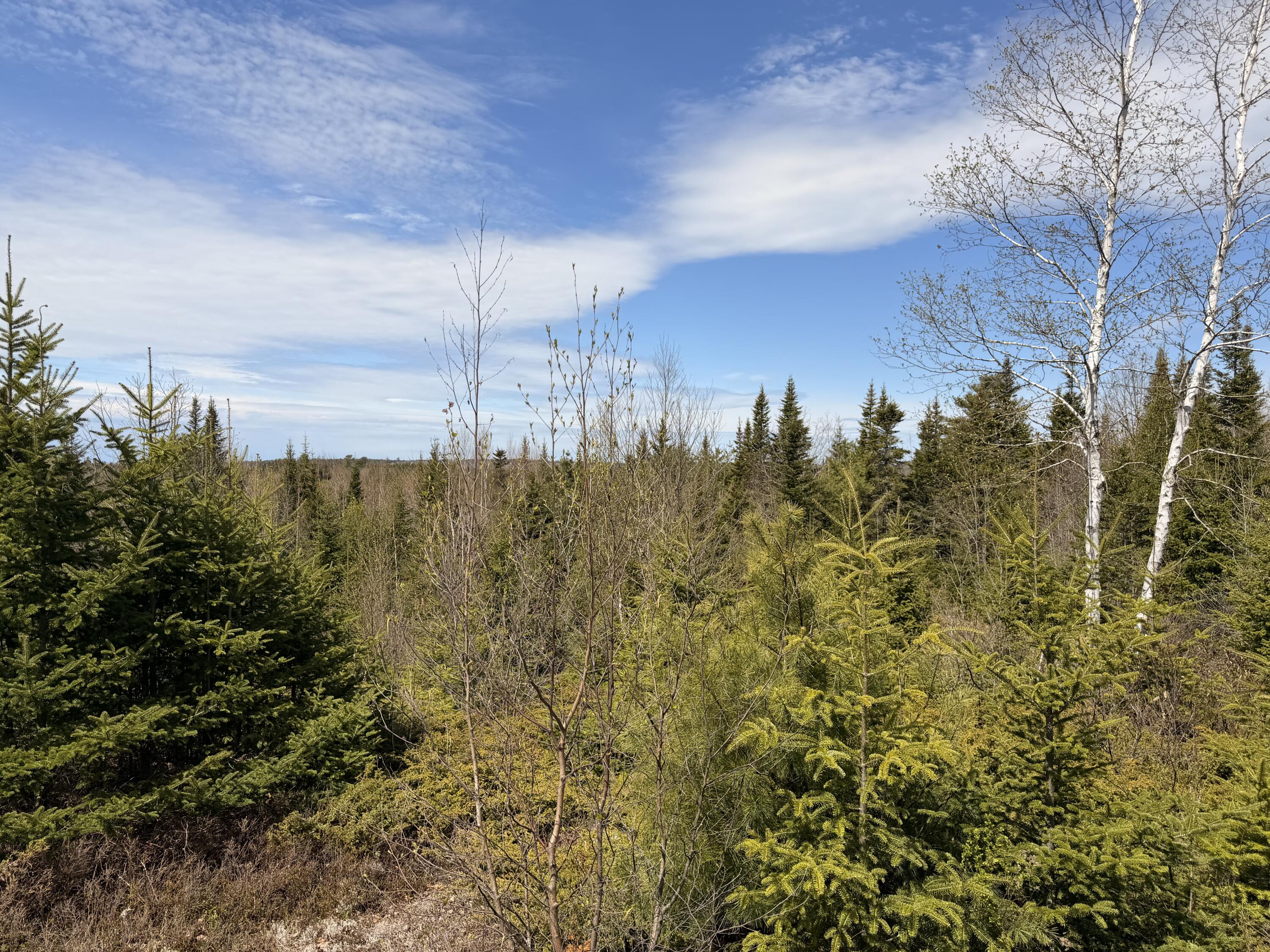 76 Morancy Road Sullivan, ME 04664 - Photo 4 of 8