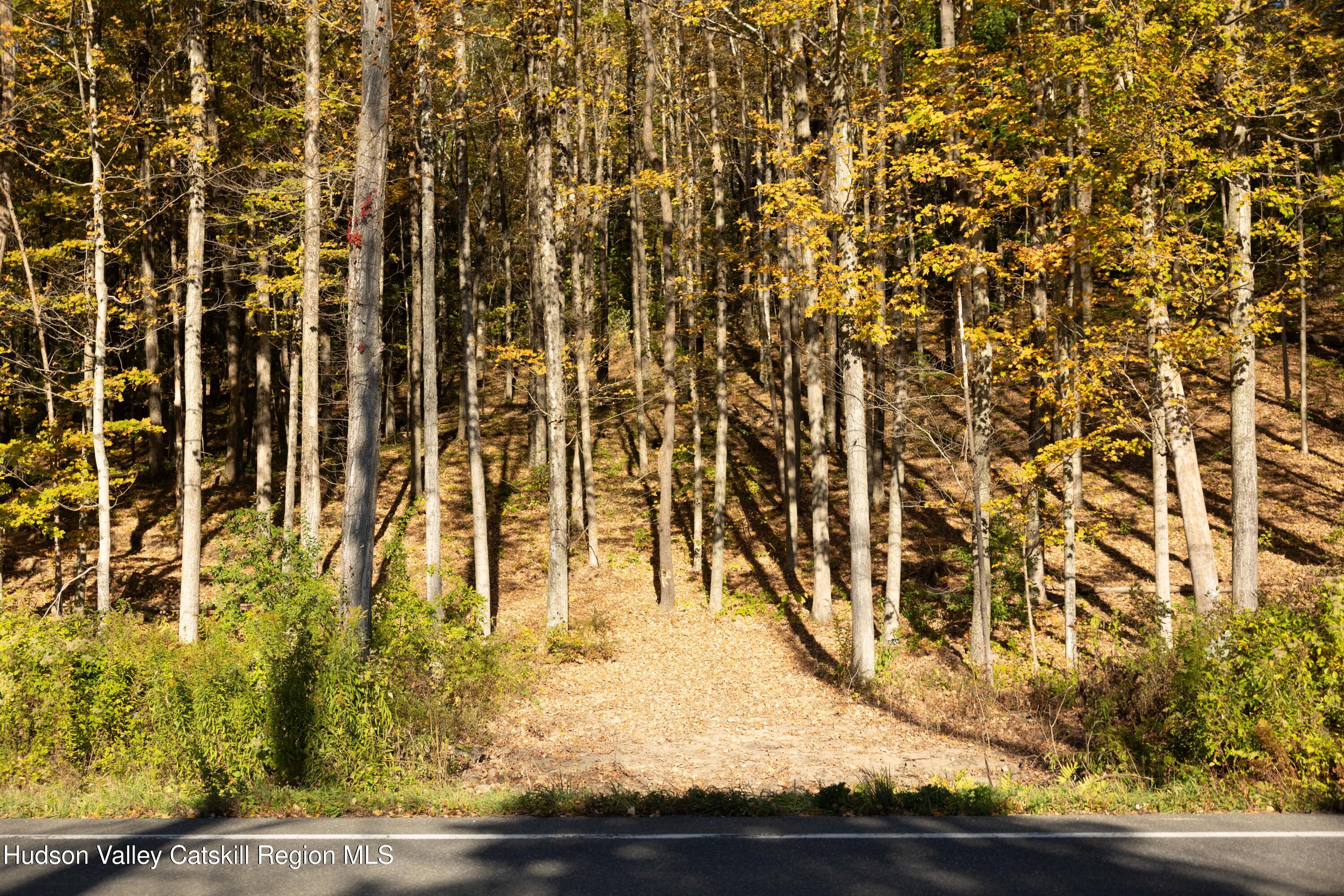 0 State Route 82 Ancram, NY 12502 - Photo 3 of 7 a view of residential area with wooden floor