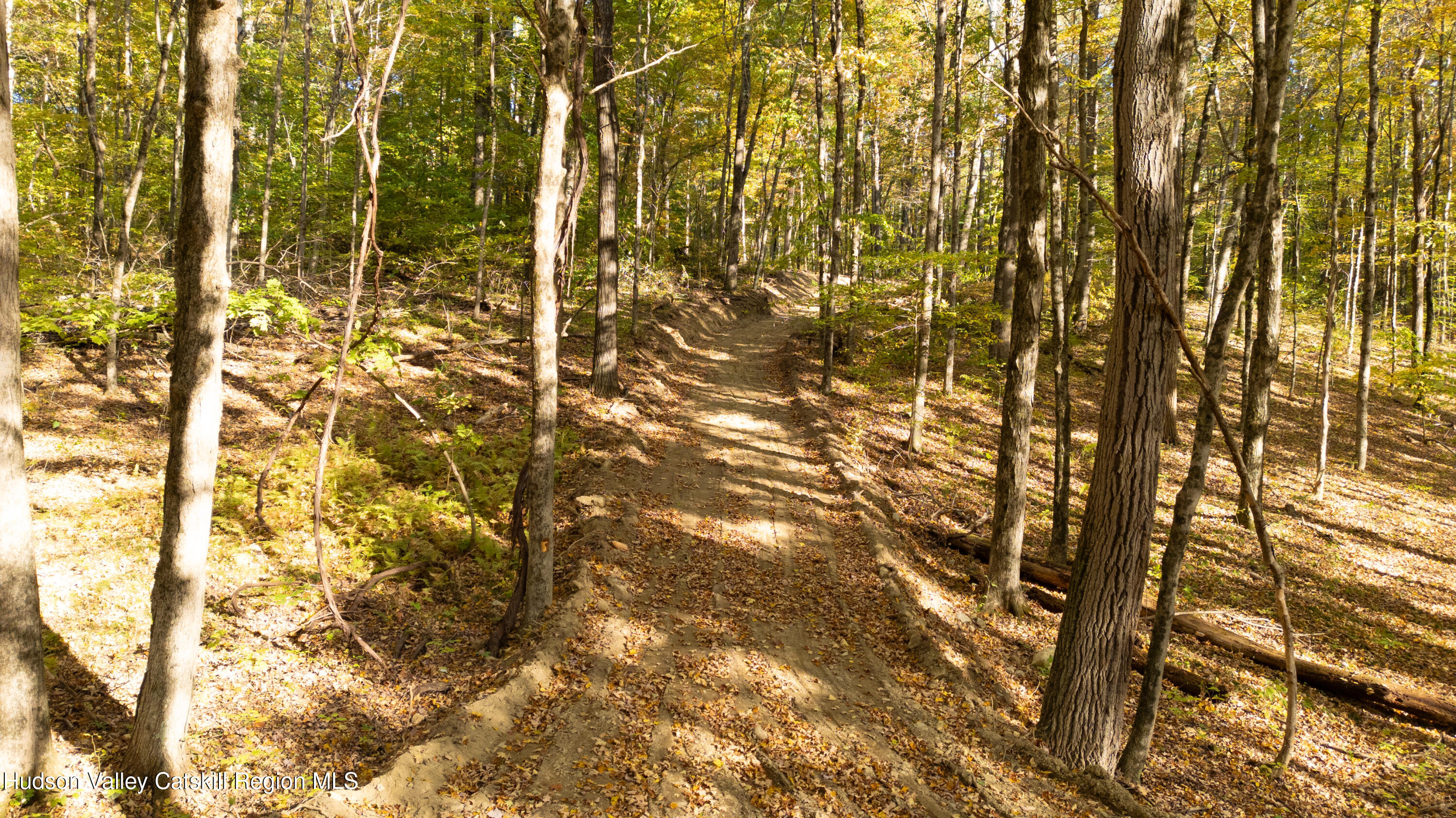 0 State Route 82 Ancram, NY 12502 - Photo 4 of 7 a bathroom with a shower