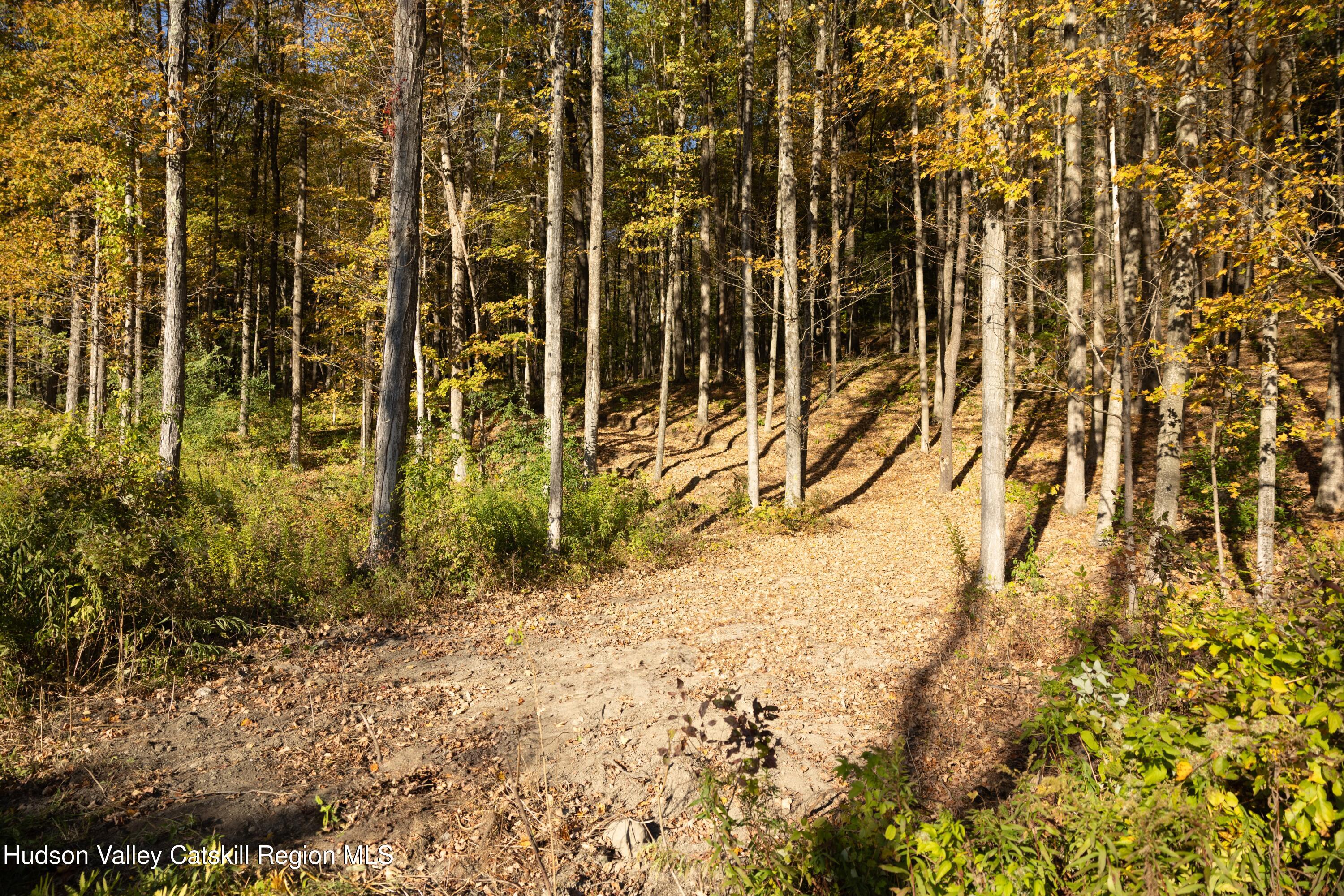 0 State Route 82 Ancram, NY 12502 - Photo 5 of 7 a view of under construction area