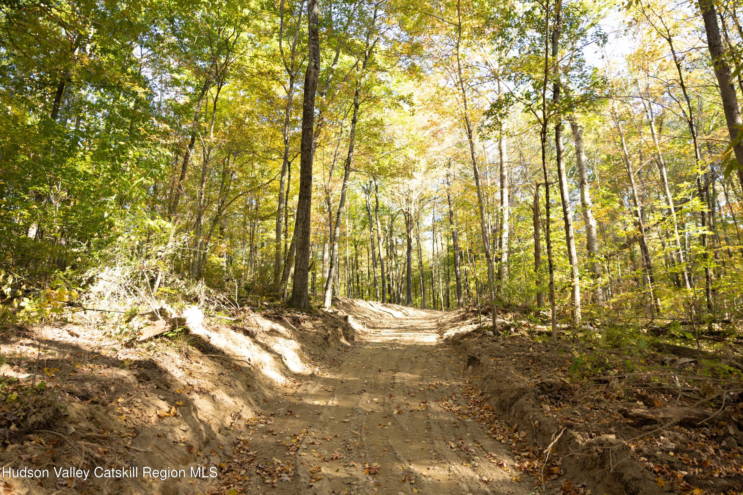 0 State Route 82 Ancram, NY 12502 - Photo 6 of 7 a view of backyard with tree and wooden fence