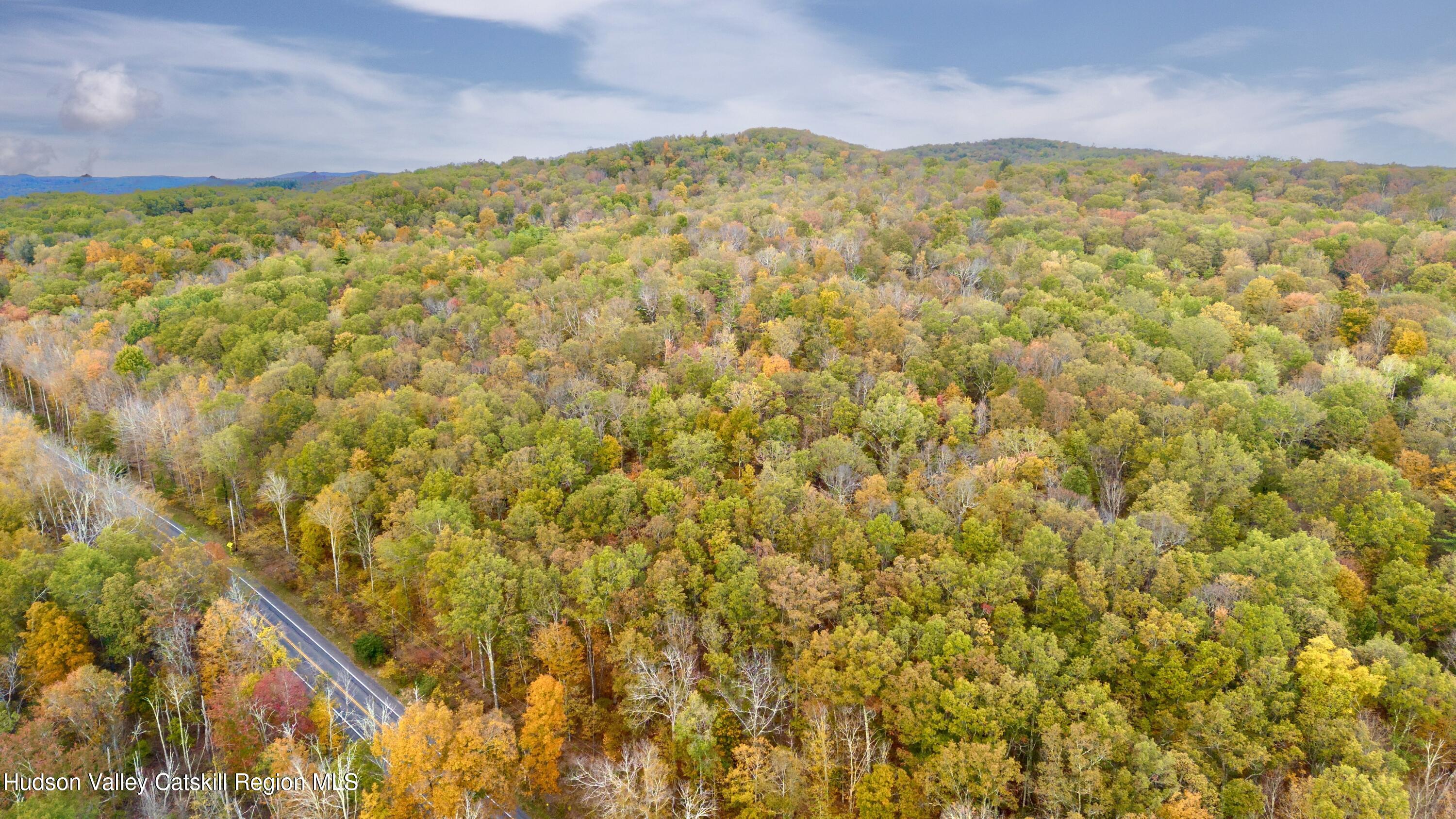 0 State Route 82 Ancram, NY 12502 - Photo 7 of 7