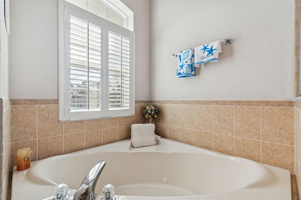 5287 Slater Road Spring Hill, FL 34608 - Photo 36 of 86 a bath tub sitting in a bathroom next to a window