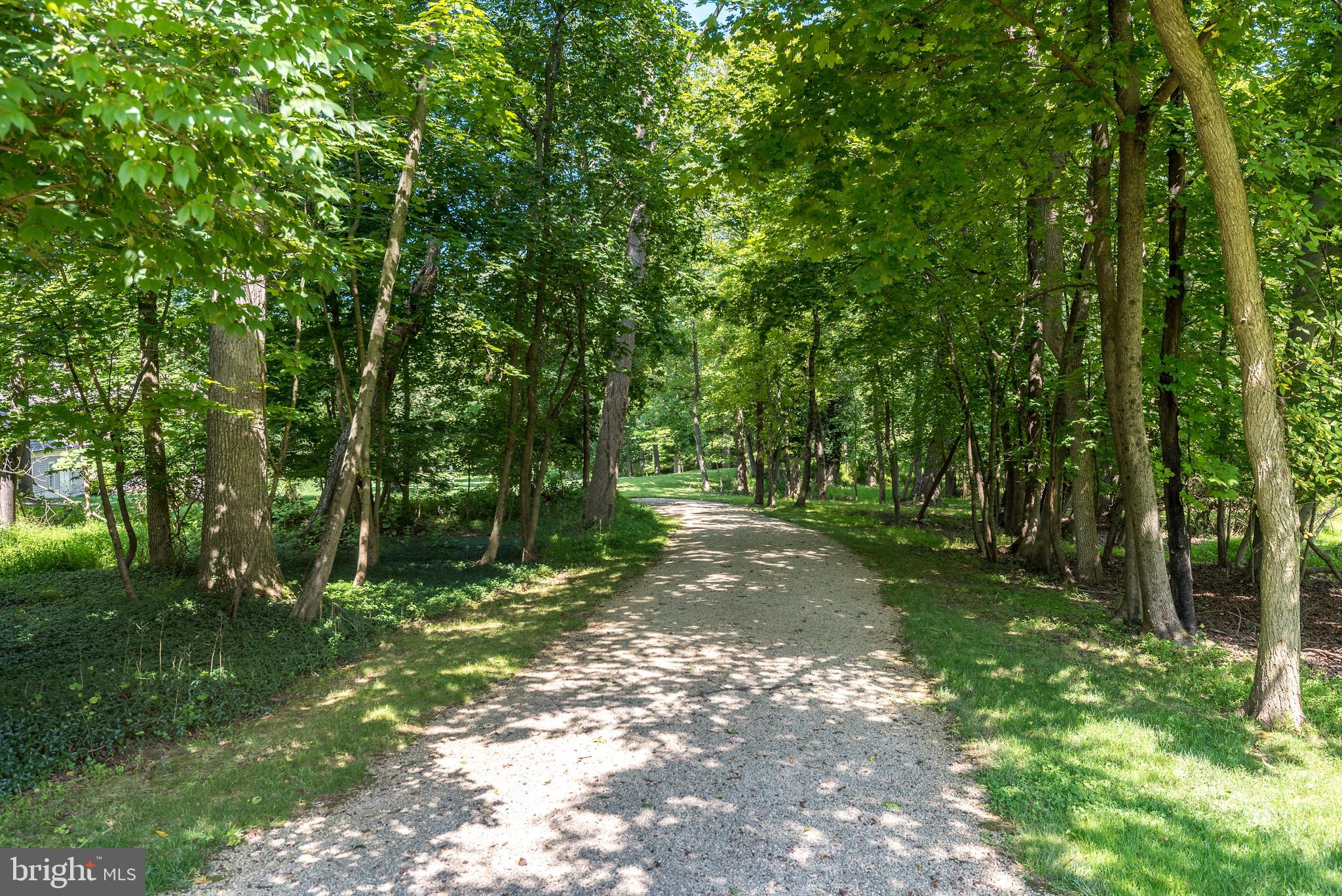 1320 Gypsy Hill Road Ambler, PA 19002 - Photo 4 of 66 Walking path in front of house