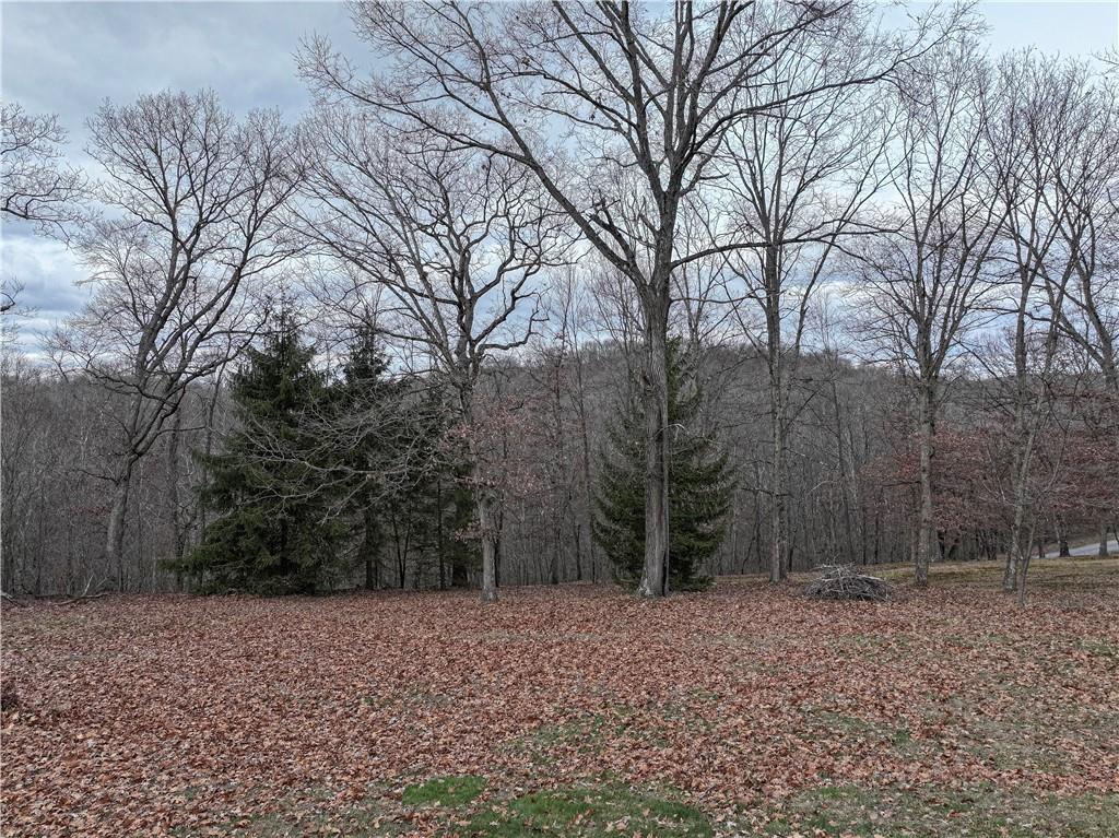 354 Frankfort Springs Road Georgetown, PA 15043 - Photo 15 of 45