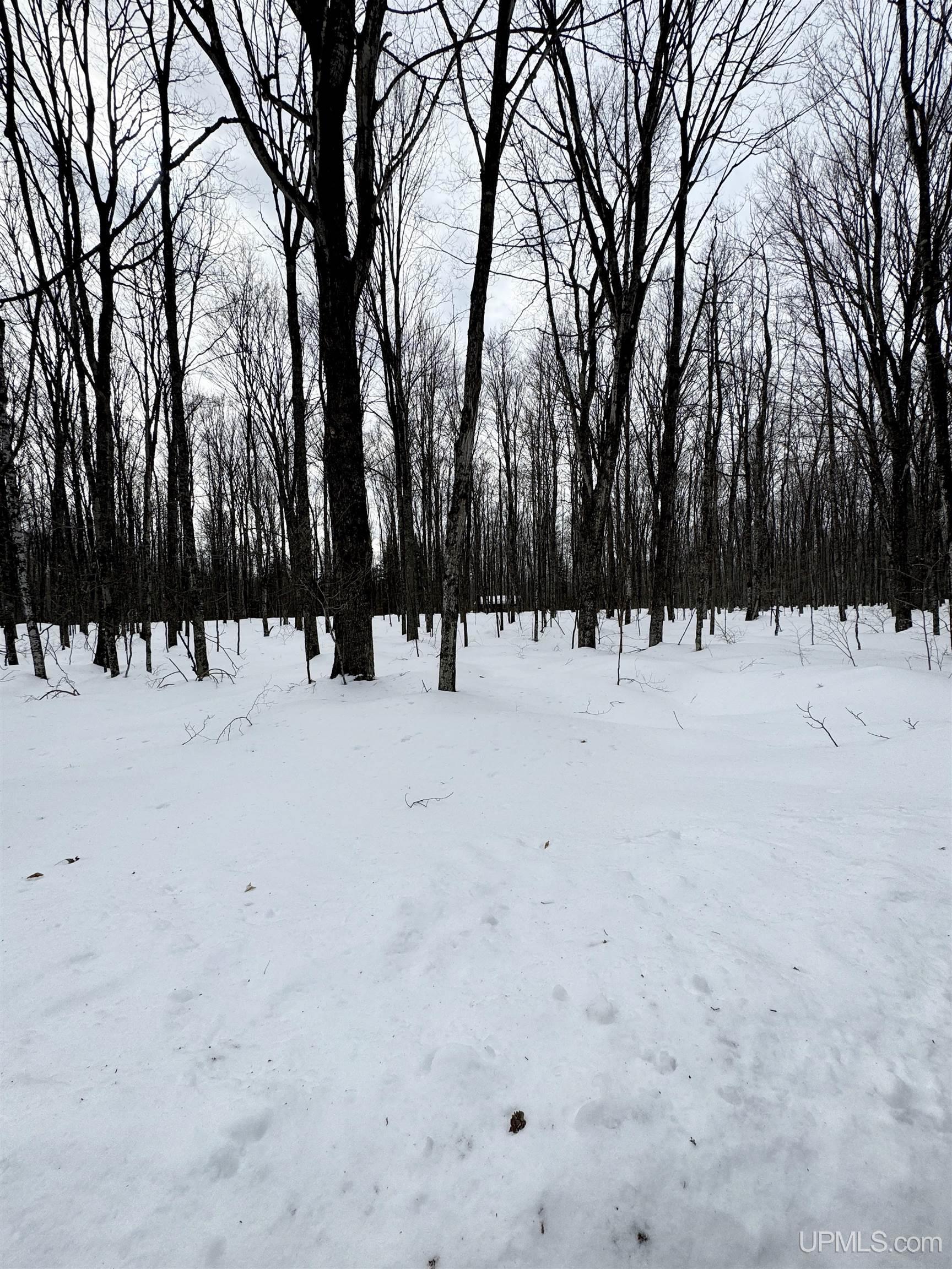 Tbd Off North Road Perkins, MI 49872 - Photo 19 of 48 Gallery Image 19